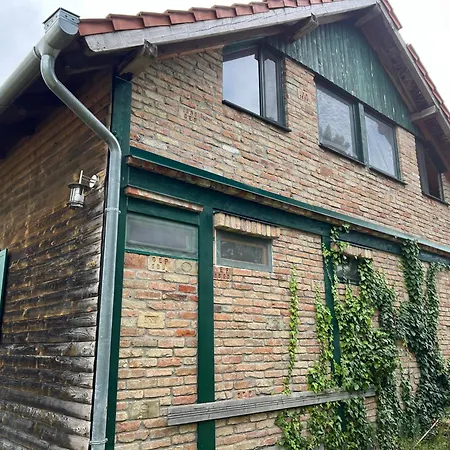 Zoeldfenyo Nyaralo, Tannengruen *