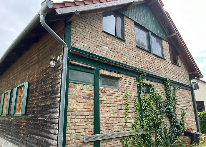 Zoeldfenyo Nyaralo, Tannengruen *